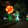 carousel2128